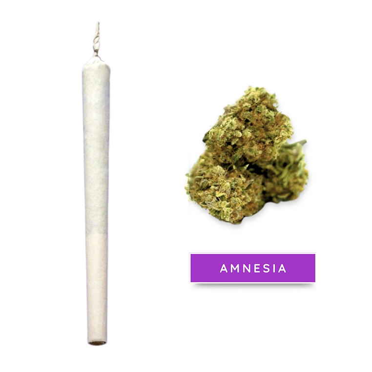 Stick Amnésia 100% CBD