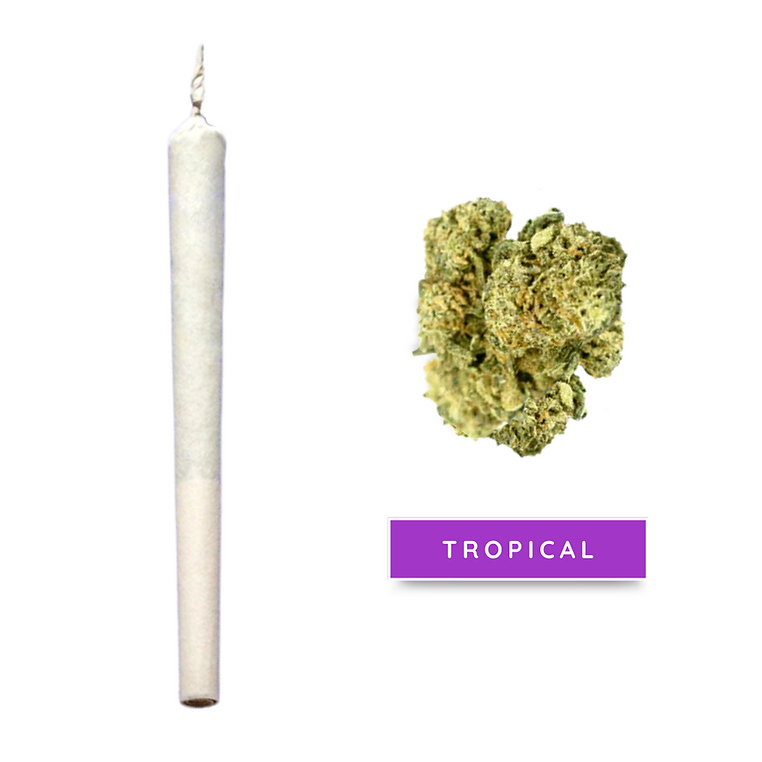 Stick Tropical 100% CBD
